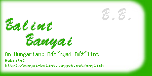 balint banyai business card
